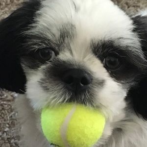 Meet your Posher, Sean